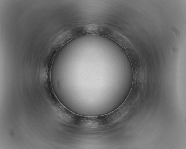 X0000111870702200907231513