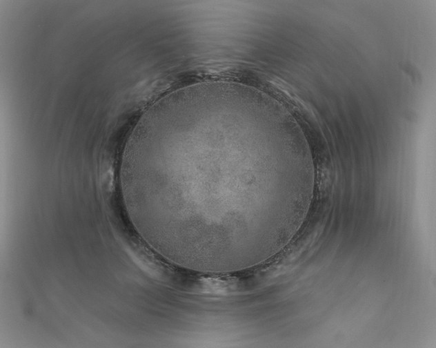 X0000111870703200907231513