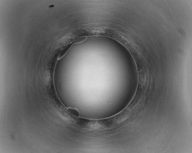 X0000111870704200907231513