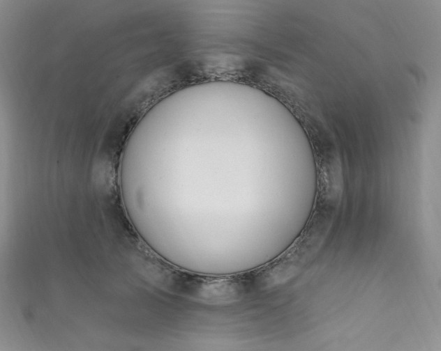 X0000111870705200907231513