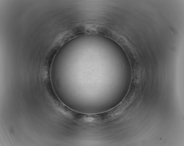 X0000111870706200907231513
