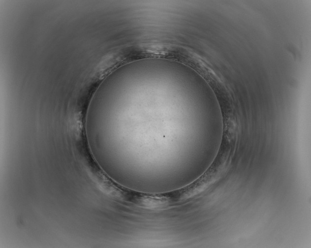 X0000111870707200907231513