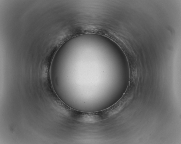 X0000111870708200907231512