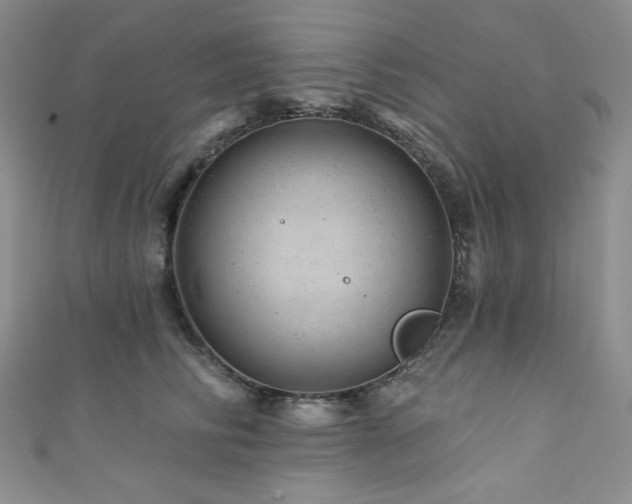 X0000111870710200907231512