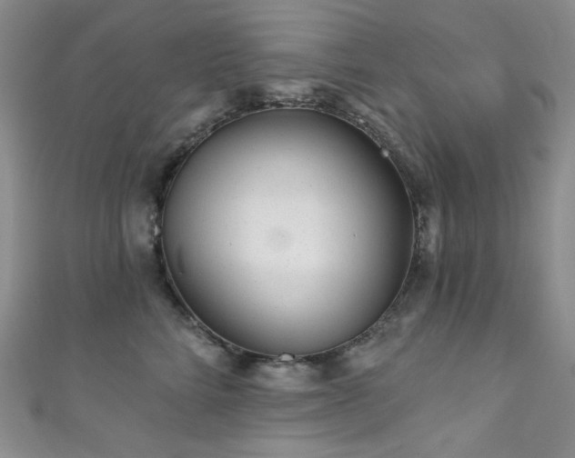 X0000111870712200907231512