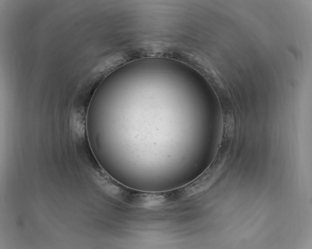 X0000111870719200907231512