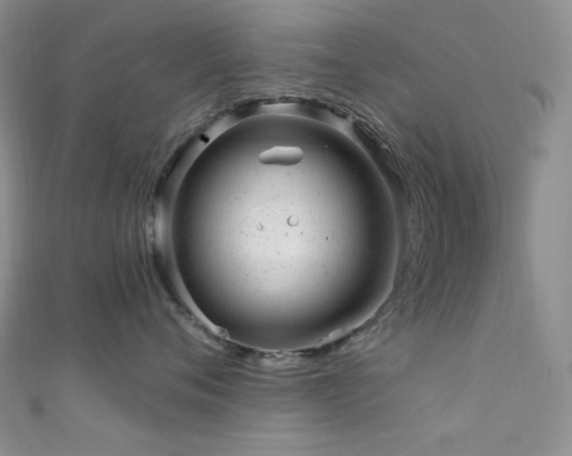X0000111870720200907231512