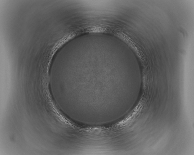 X0000111870721200907231512