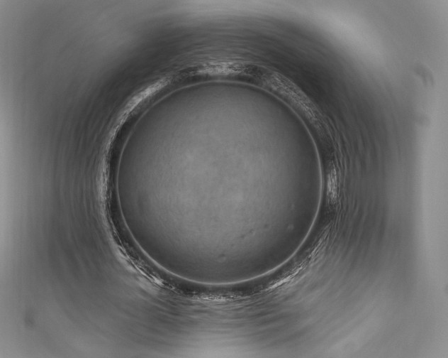 X0000111870724200907231512