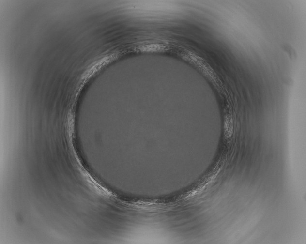 X0000111870725200907231512