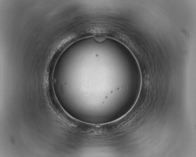 X0000111870727200907231512