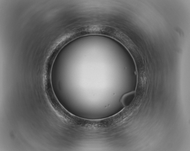 X0000111870728200907231512