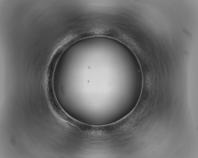 X0000111870730200907231512