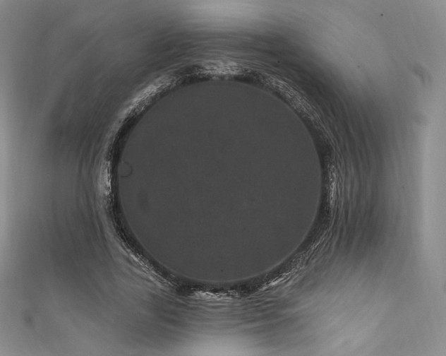 X0000111870731200907231512