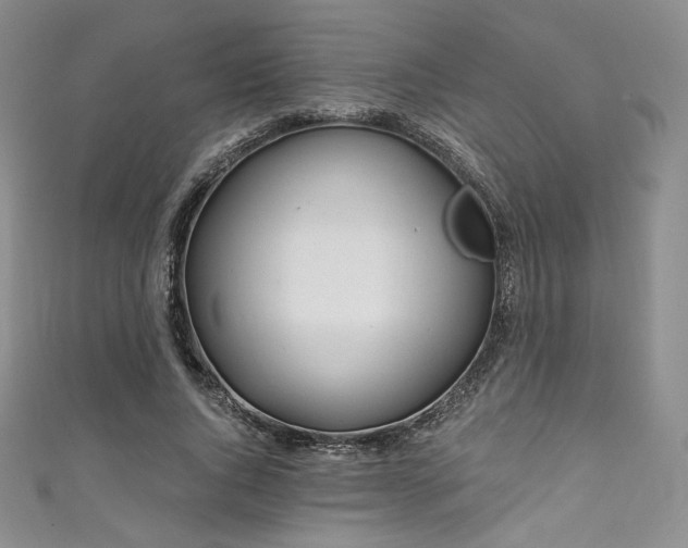 X0000111870736200907231512