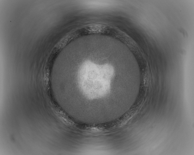 X0000111870737200907231512