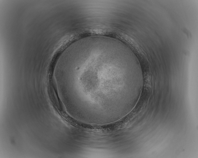 X0000111870738200907231512