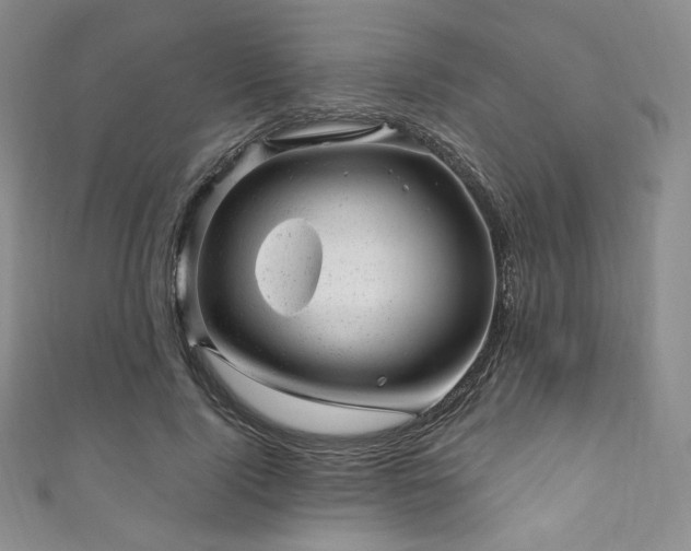 X0000111870740200907231512