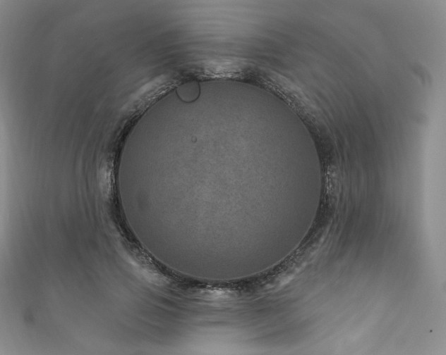 X0000111870741200907231512
