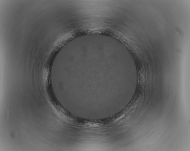 X0000111870742200907231512