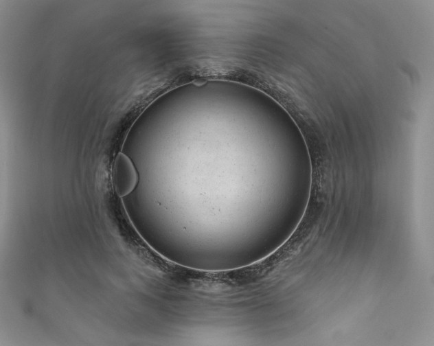 X0000111870743200907231512