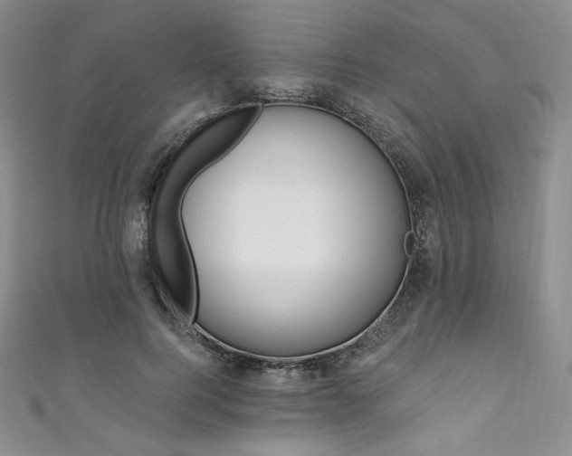 X0000111870744200907231512