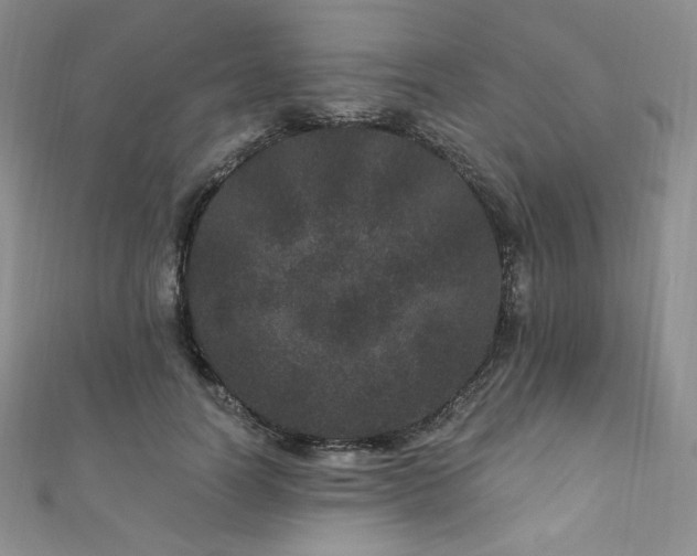 X0000111870746200907231512