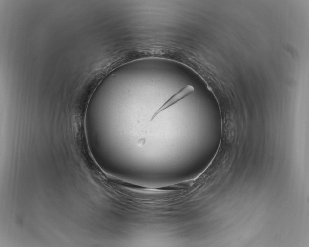 X0000111870747200907231512
