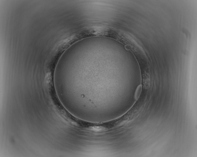 X0000111870748200907231512