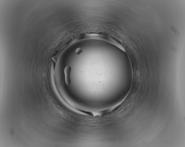 X0000111870750200907231512