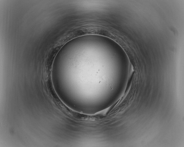 X0000111870751200907231512