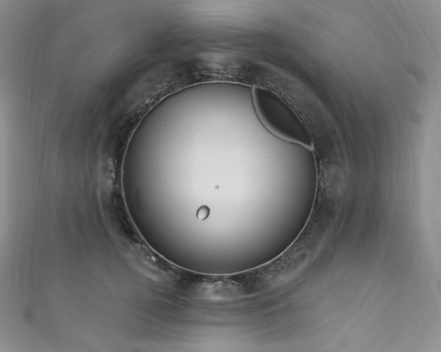 X0000111870752200907231512
