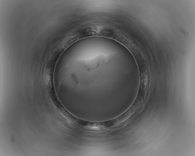 X0000111870754200907231512