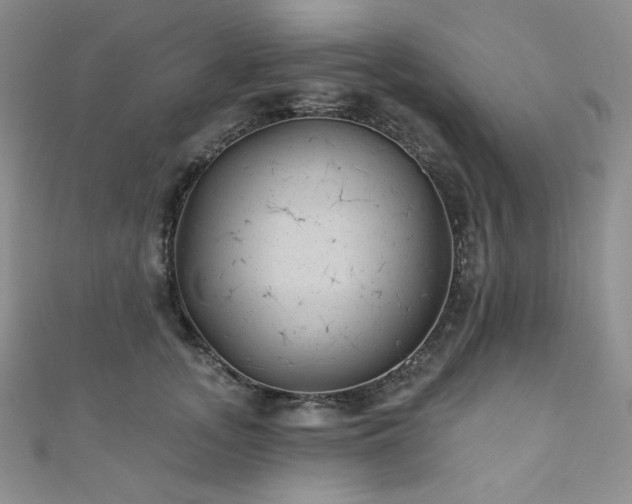 X0000111870755200907231512