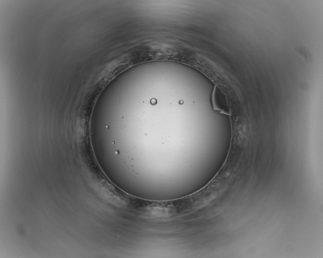 X0000111870756200907231512