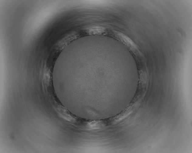 X0000111870761200907231512