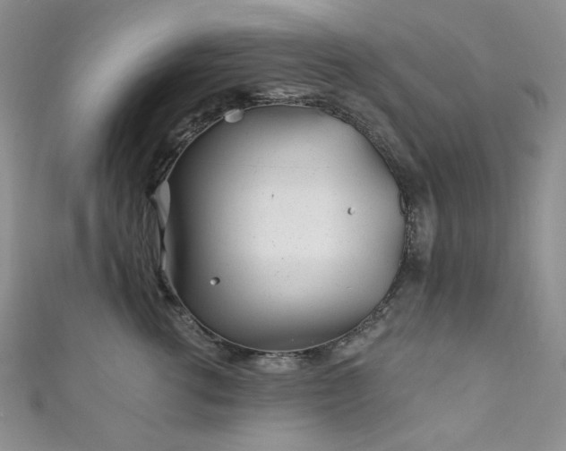 X0000111870762200907231512