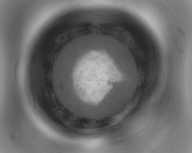 X0000111870765200907231512