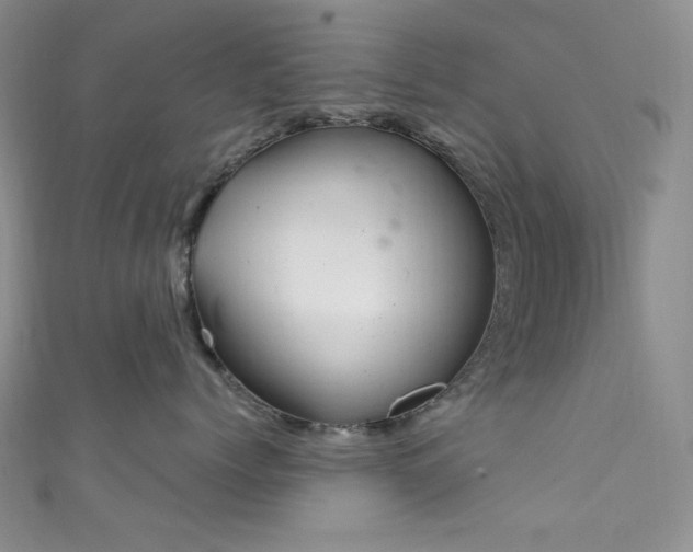 X0000111870768200907231512