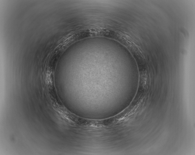 X0000111870770200907231512