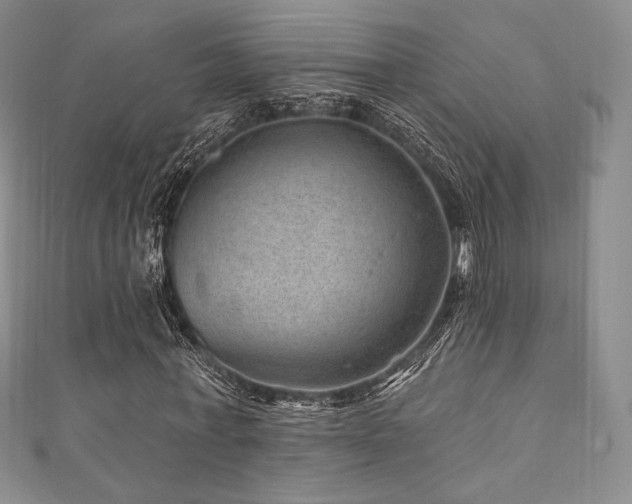 X0000111870771200907231512