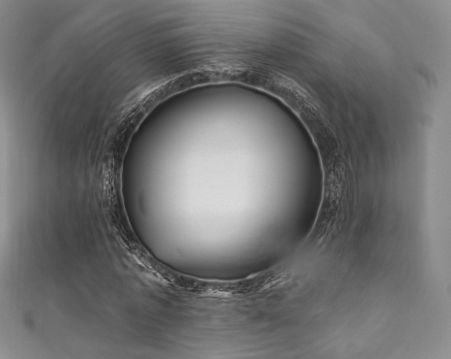 X0000111870773200907231512