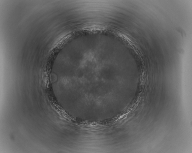 X0000111870774200907231512