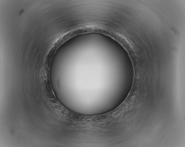 X0000111870776200907231512