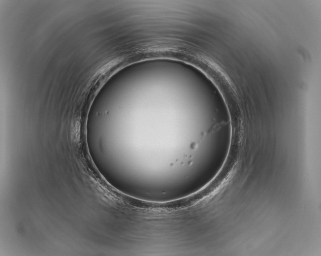 X0000111870777200907231512