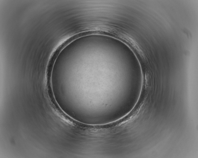 X0000111870780200907231512