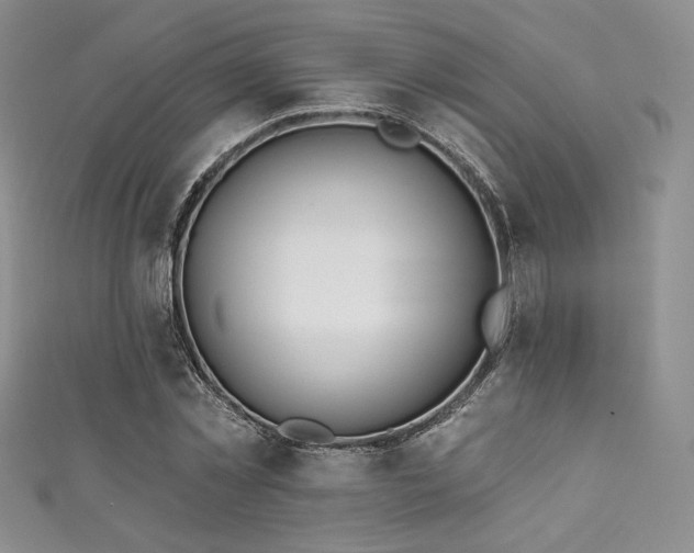 X0000111870781200907231512