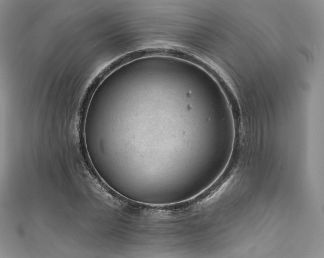 X0000111870783200907231512