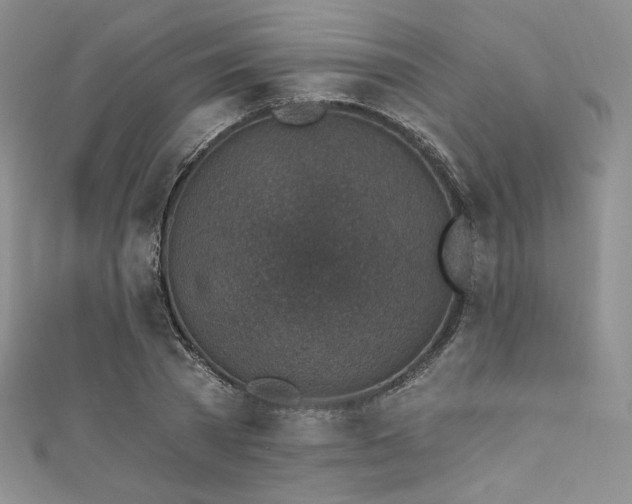 X0000111870785200907231511