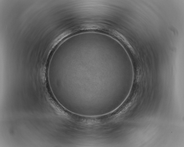 X0000111870786200907231511
